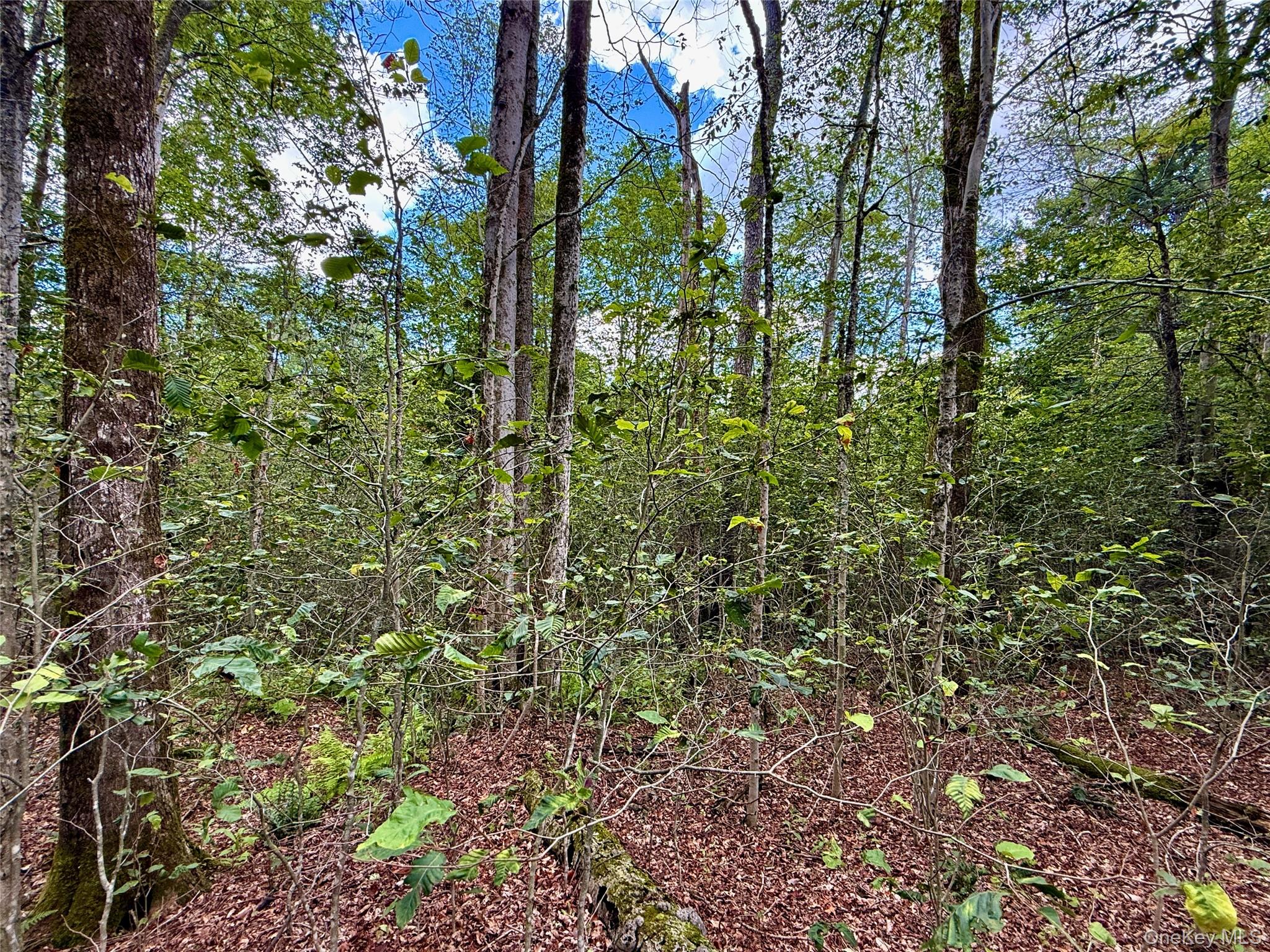 00 Town Park Road – For Sale photo 37