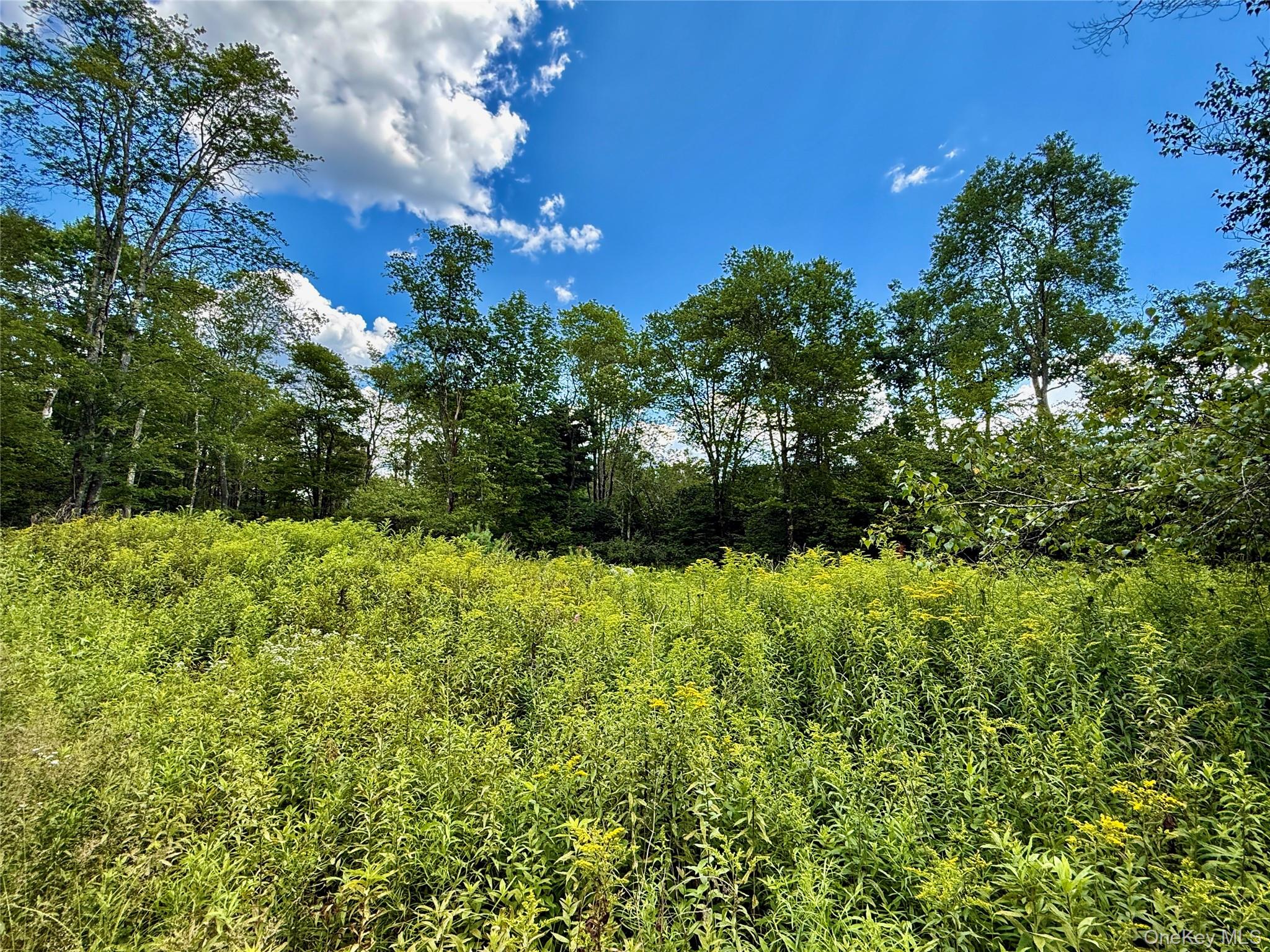 00 Town Park Road – For Sale photo 8