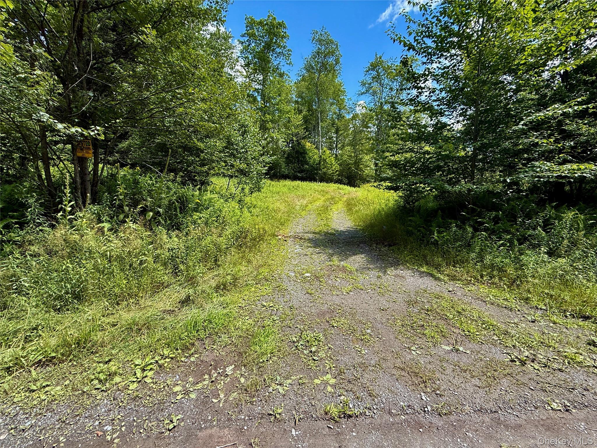 00 Town Park Road – For Sale photo 17