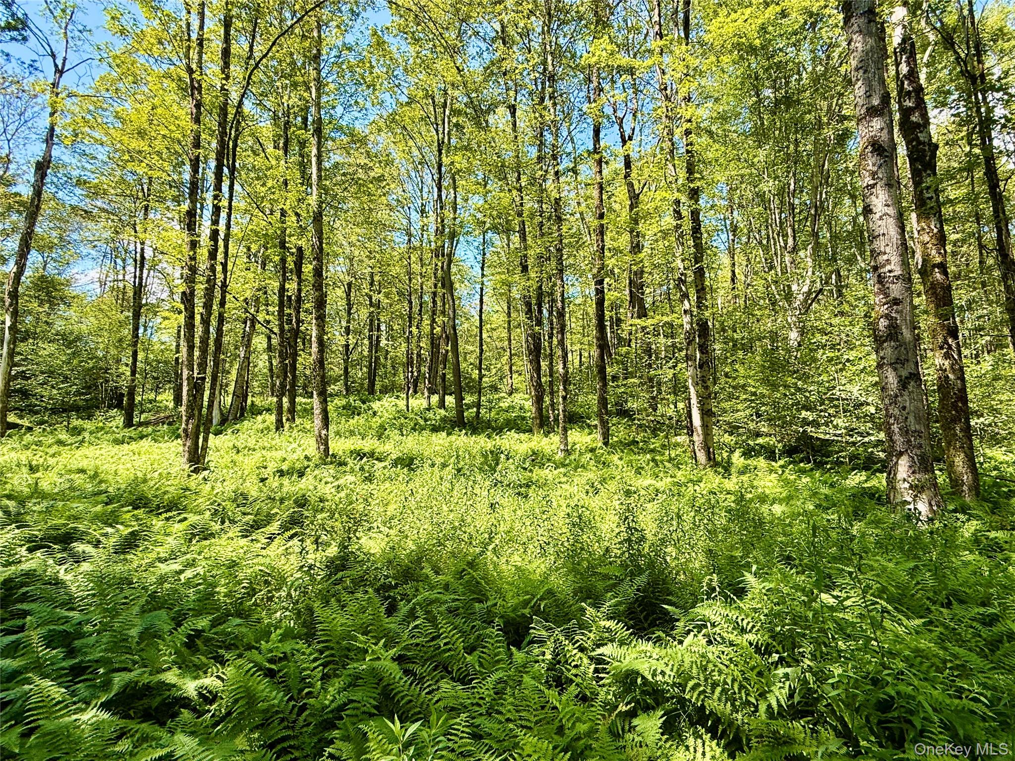 00 Town Park Road – For Sale photo 43