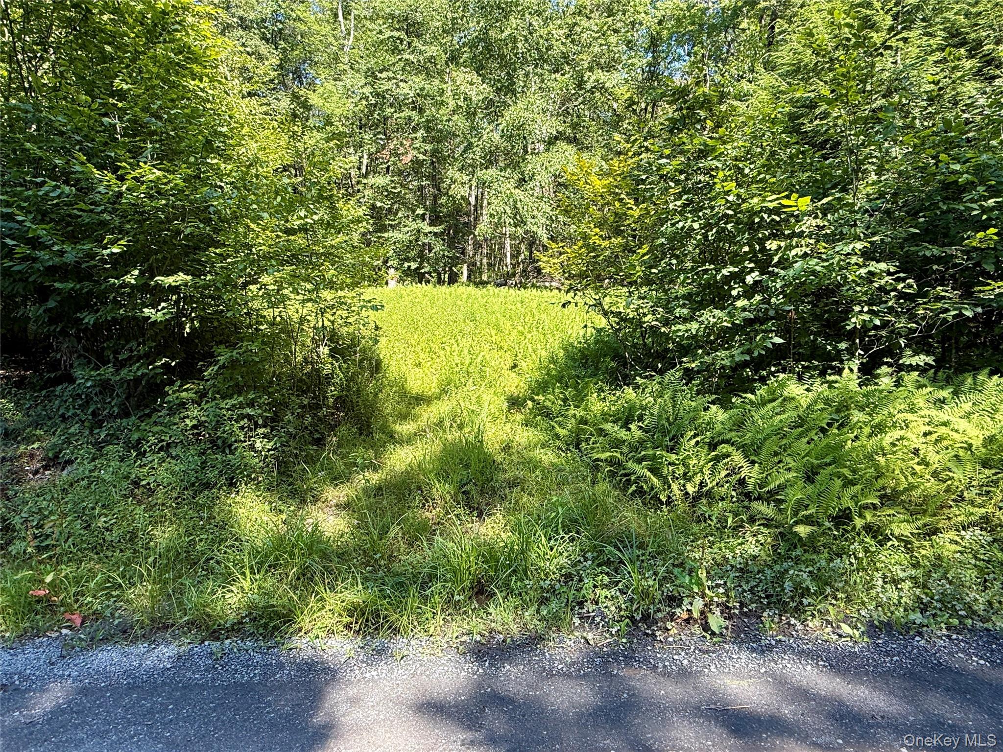 00 Town Park Road – For Sale photo 46