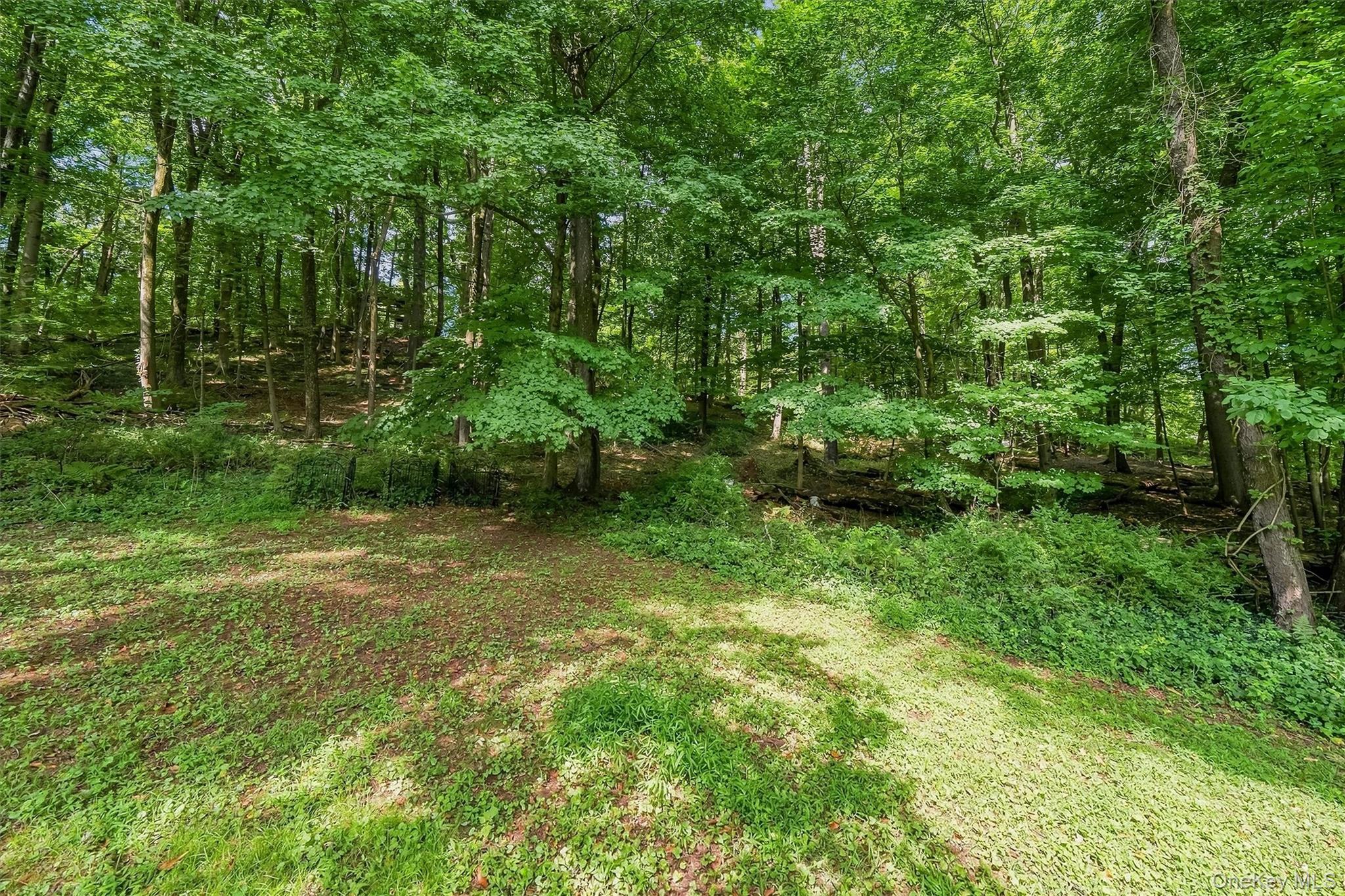 383 Rt 32 – For Rent photo 44