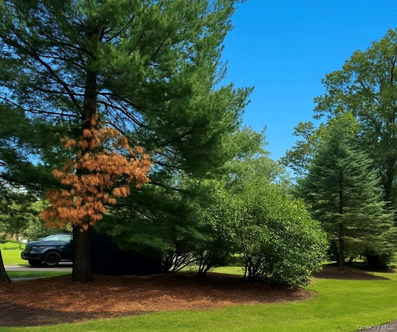 30 Marbeth Circle – For Sale photo 34