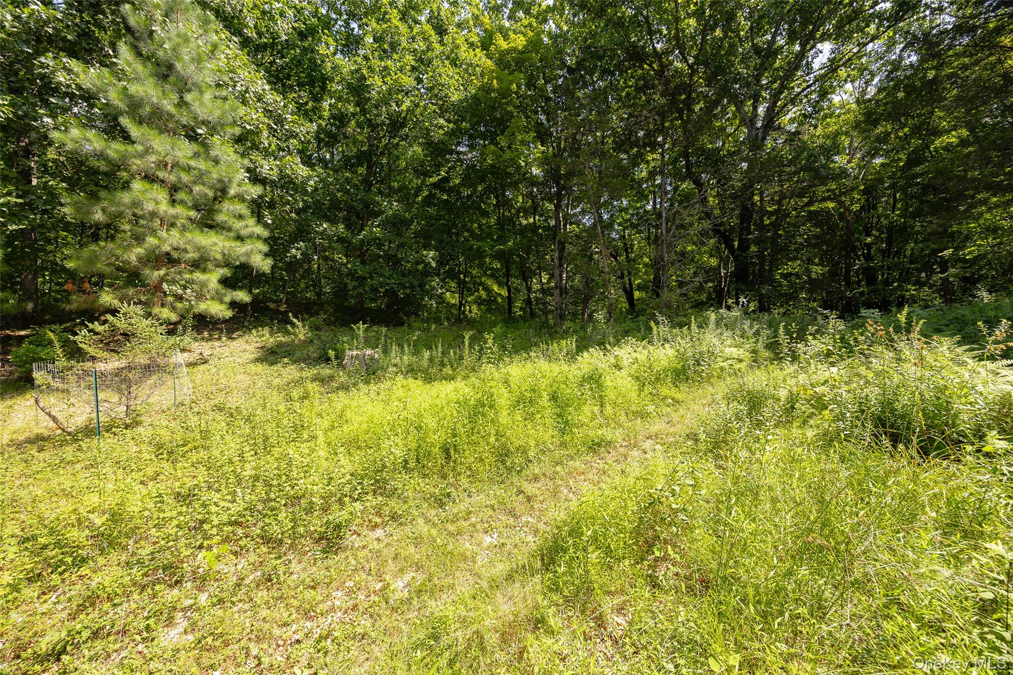 710 Pumpkin Lane – For Sale photo 31