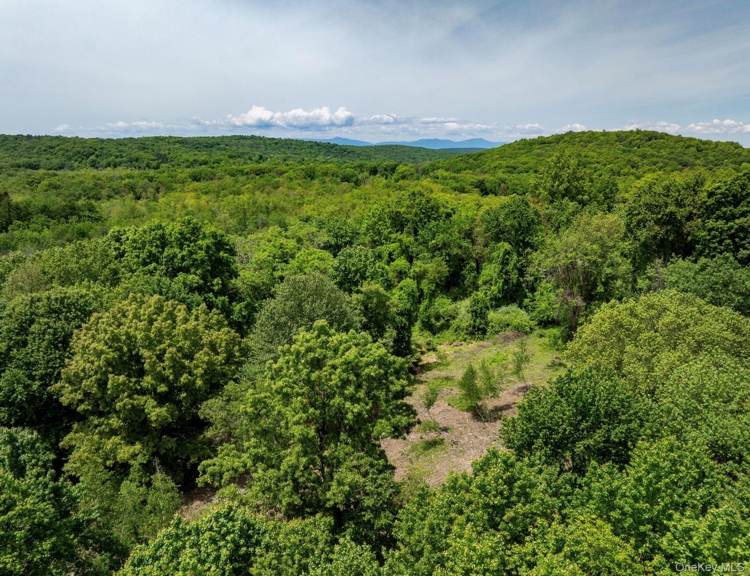 00 Route 7 – For Sale photo 11