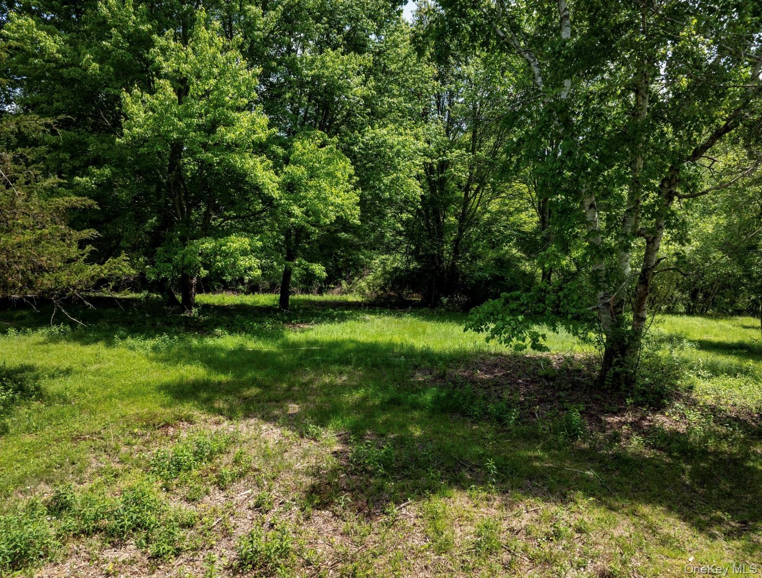 00 Route 7 – For Sale photo 5