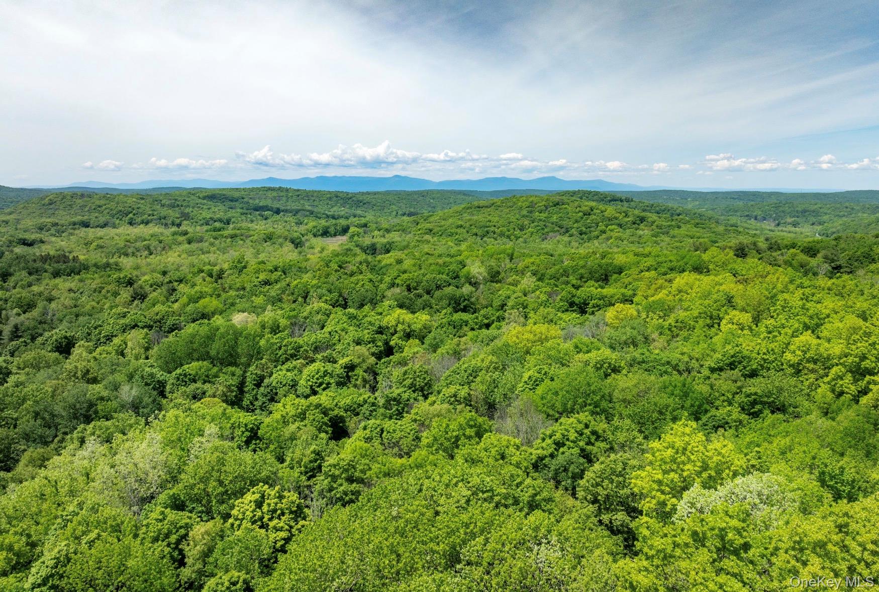 00 Route 7 – For Sale photo 3