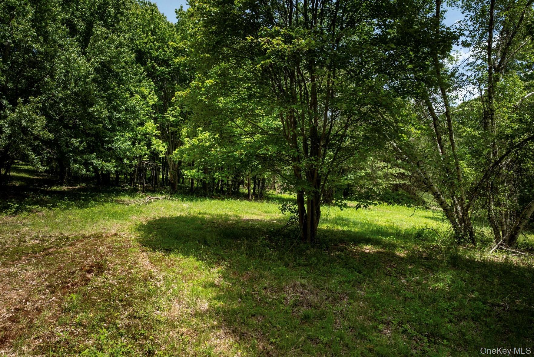 00 Route 7 – For Sale photo 4