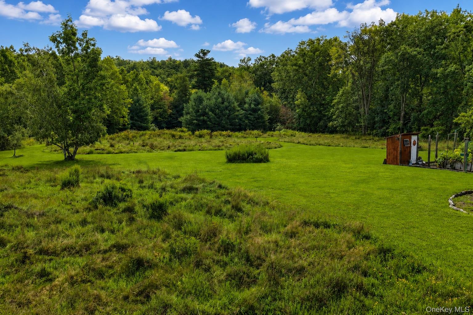 8250 Route 32 – For Sale photo 49