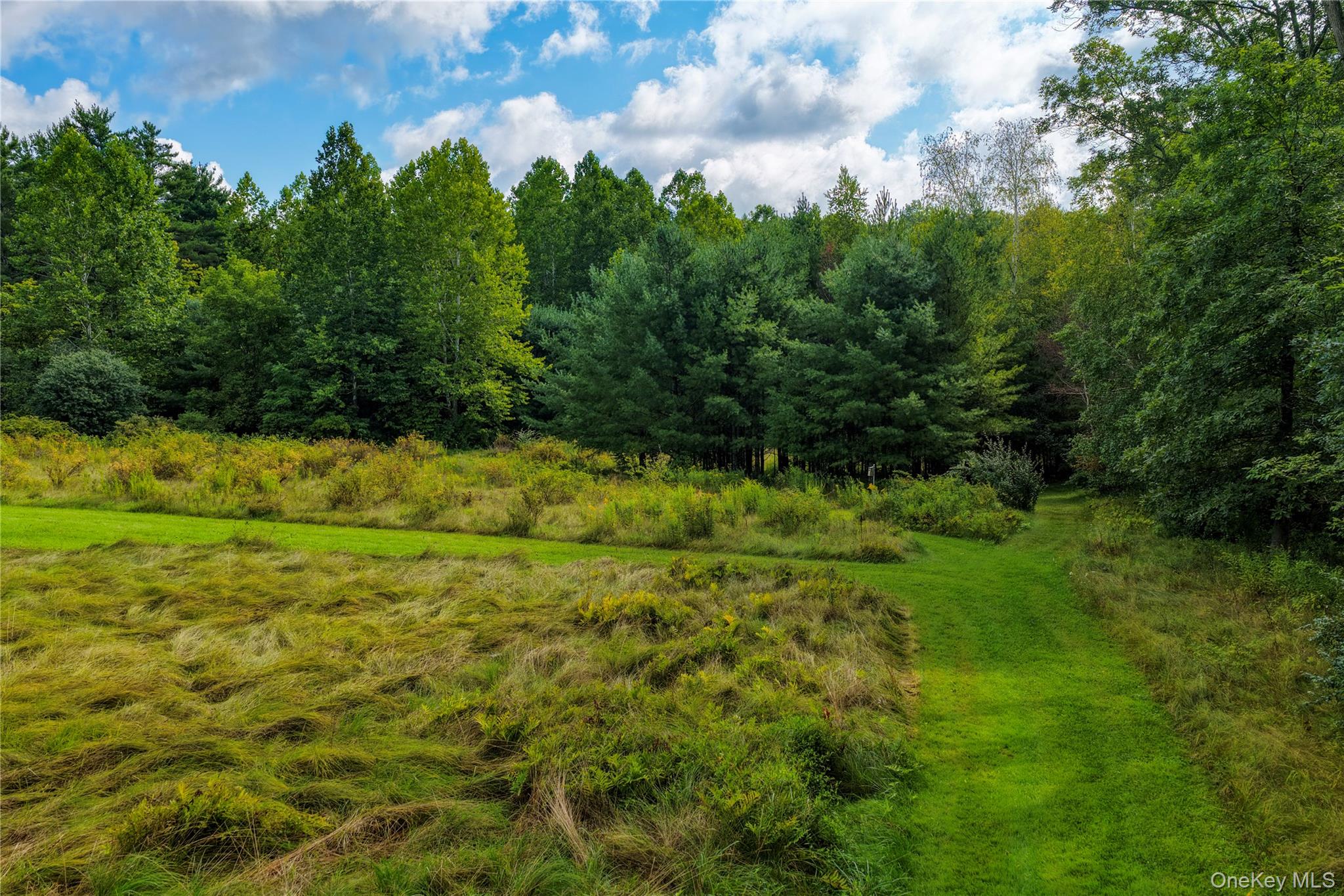 8250 Route 32 – For Sale photo 47