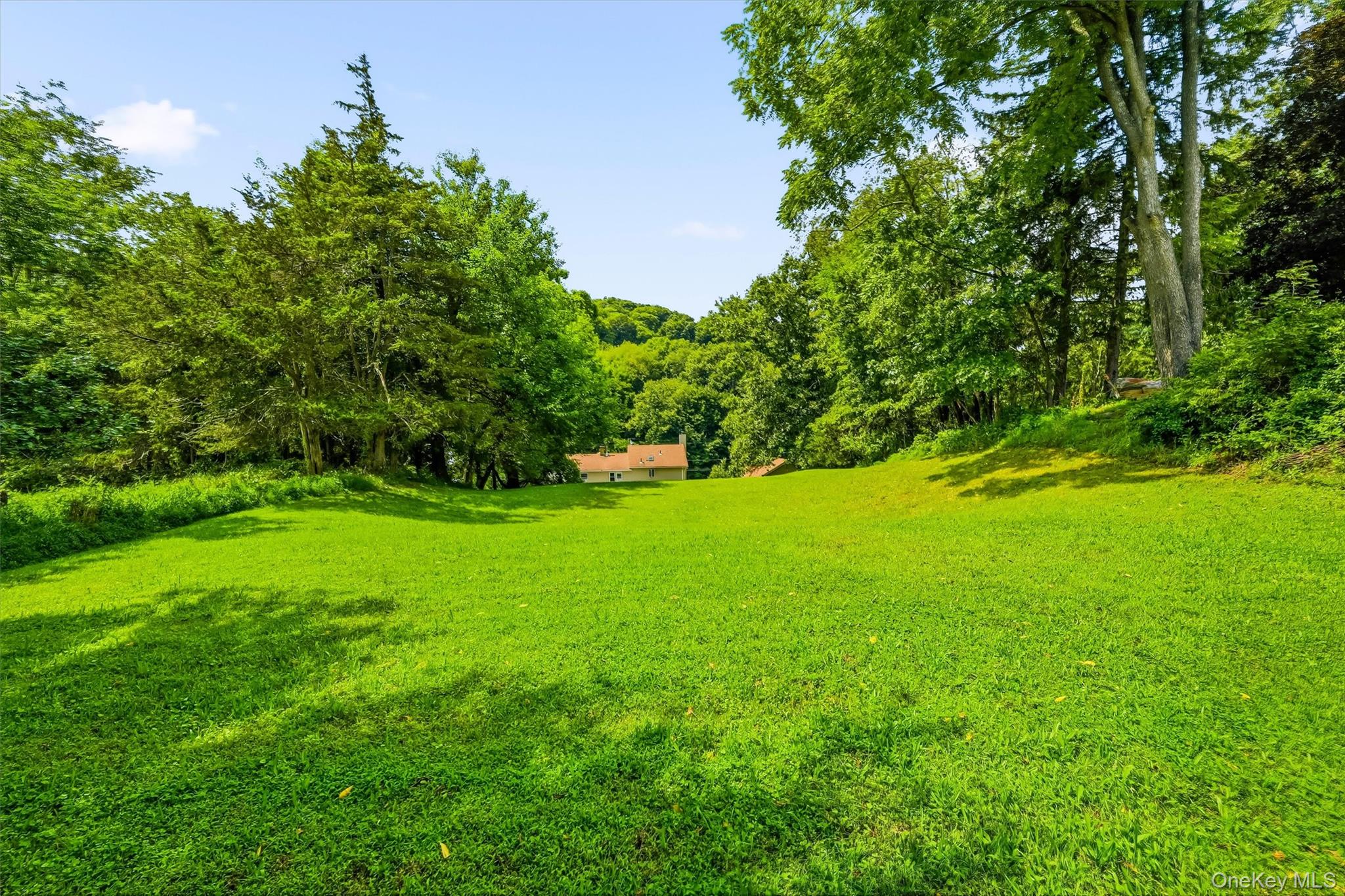 328 Big Island Road – For Sale photo 32