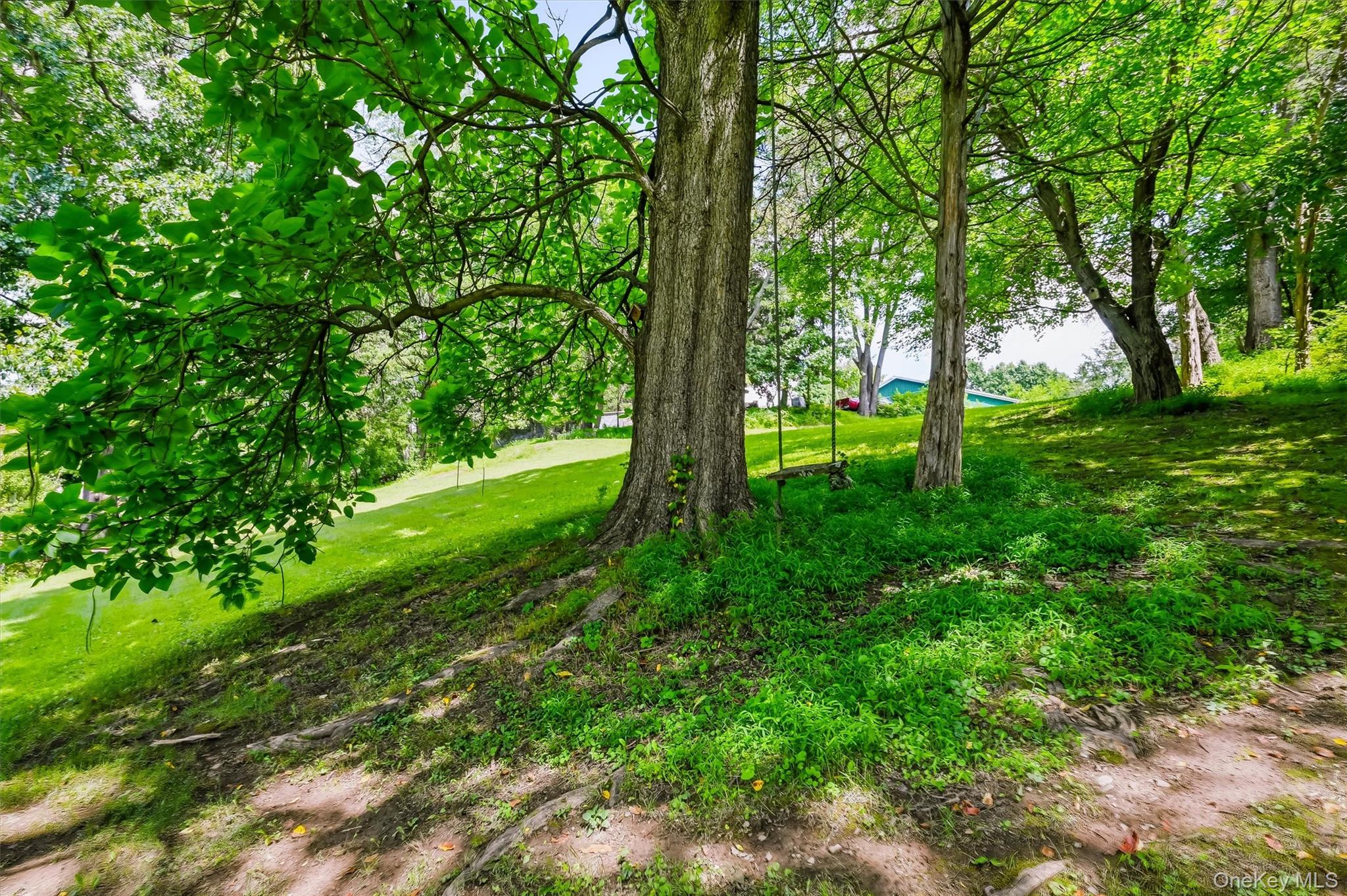 328 Big Island Road – For Sale photo 31