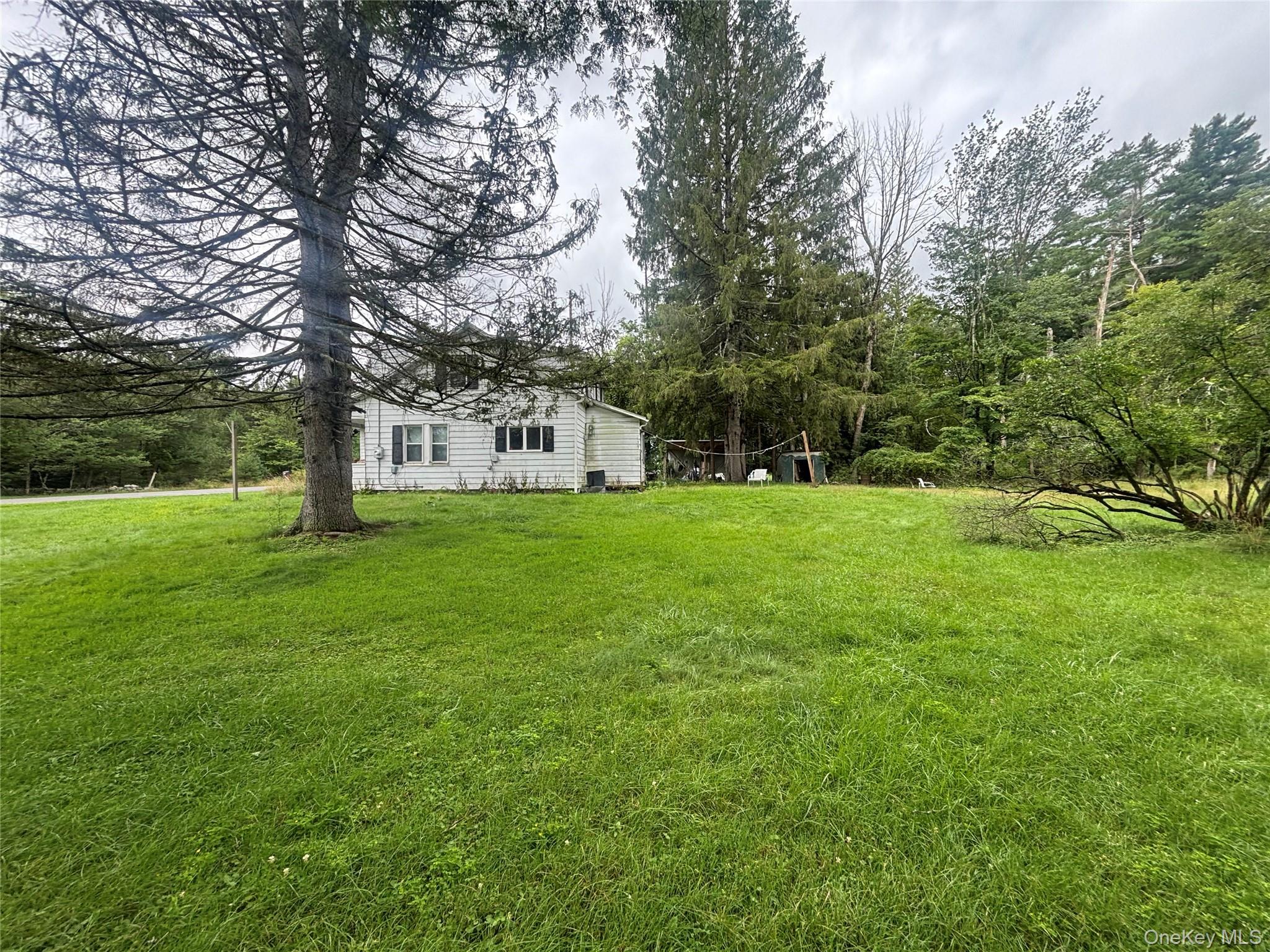 TBD Holiday Mountain Trail – For Sale photo 18