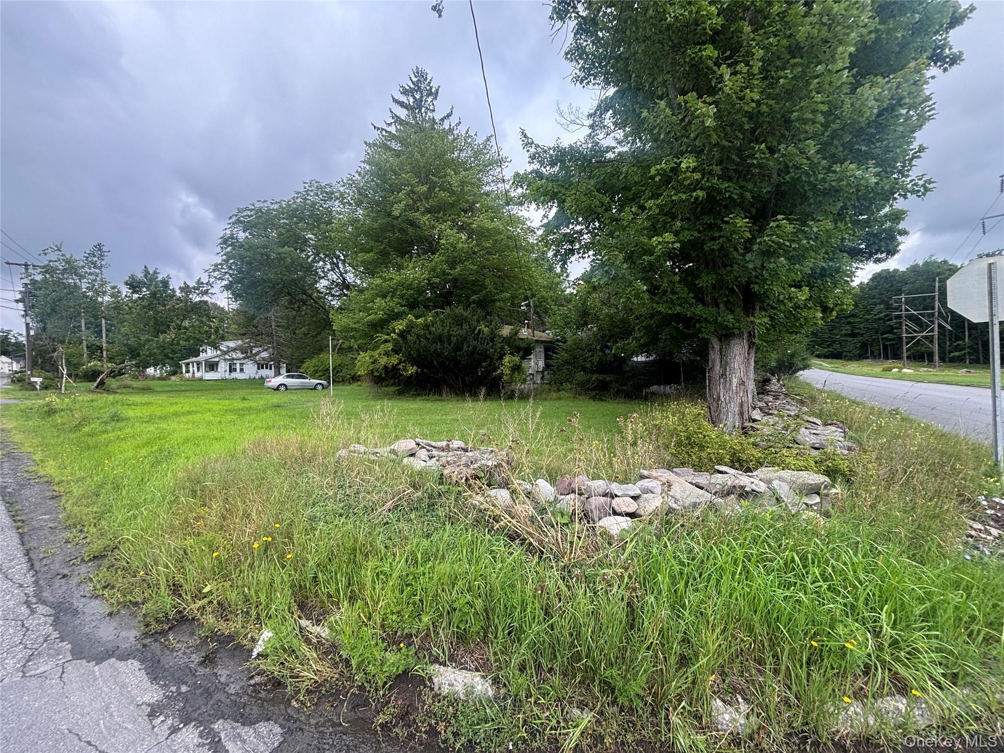 TBD Holiday Mountain Trail – For Sale photo 11