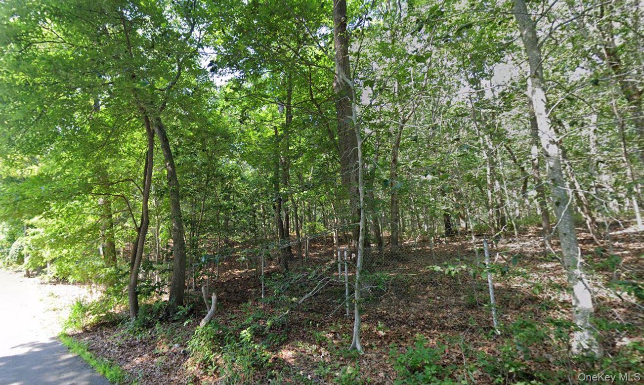 109 Fire Lane – For Sale photo 2