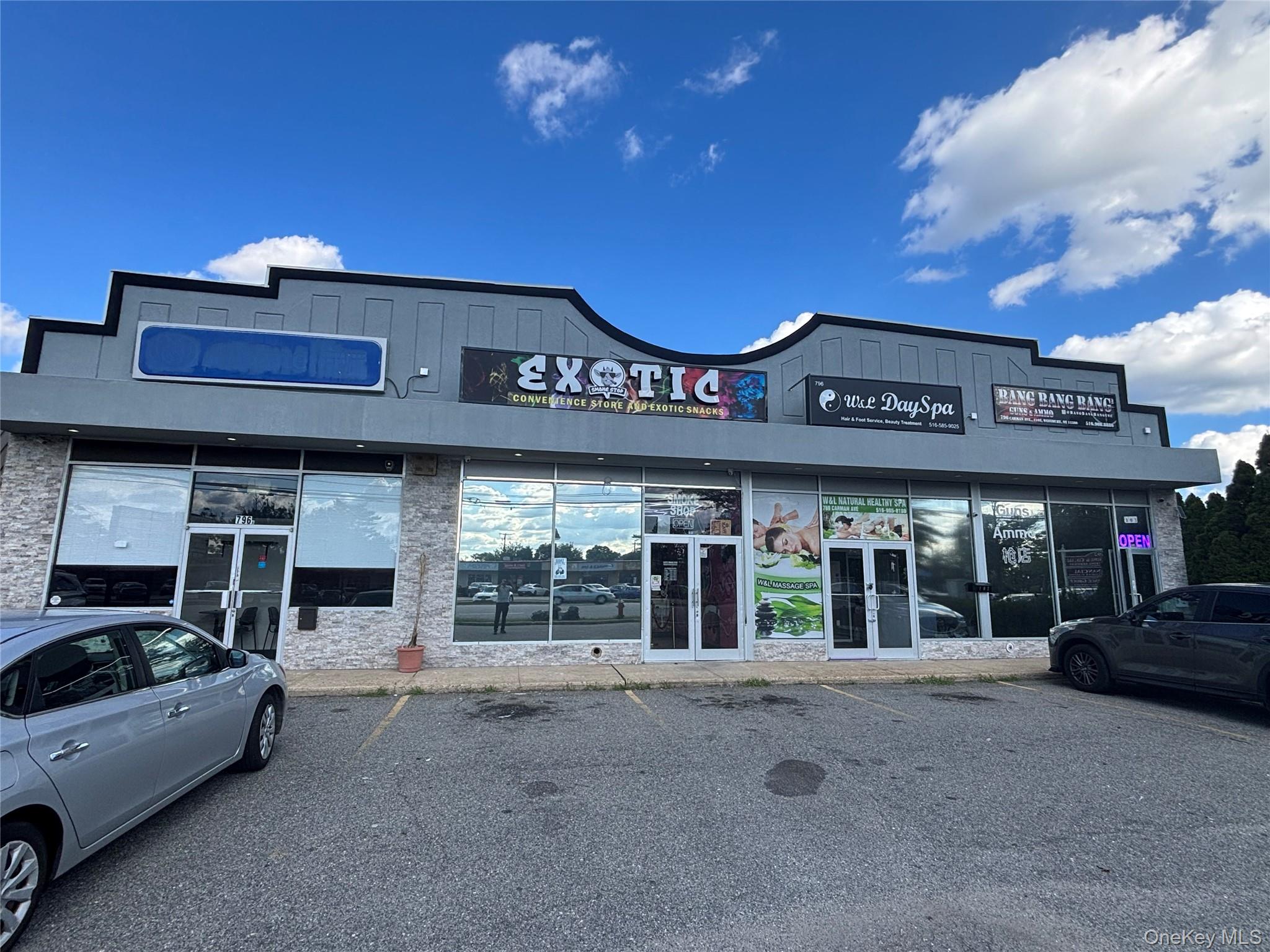 796 Carman Ave Avenue, Unit 102
