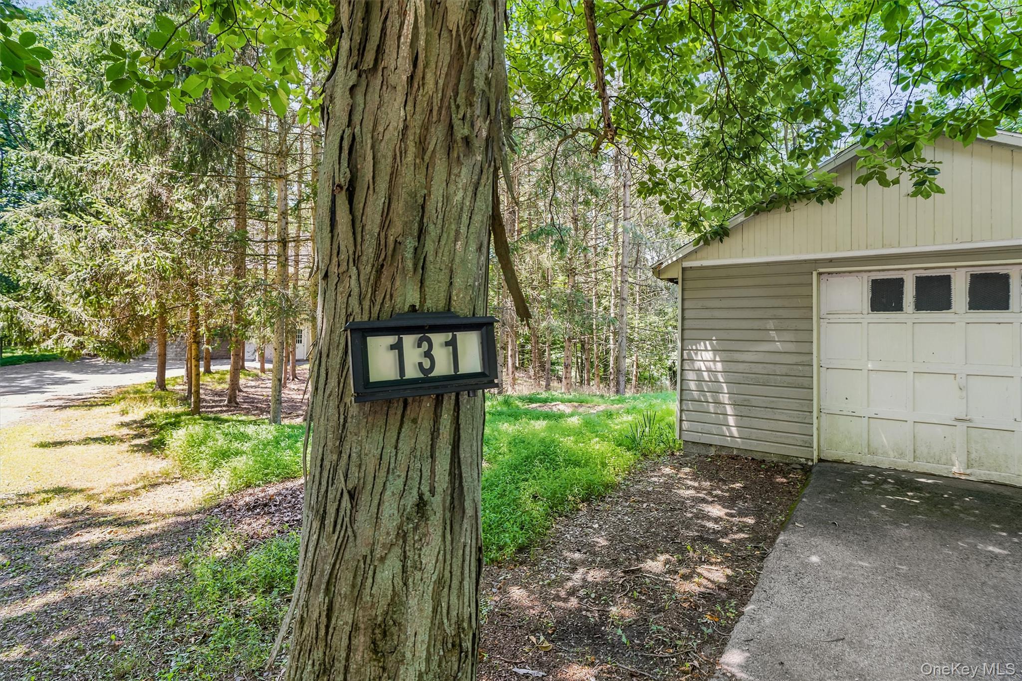 131 Hill Road – For Rent photo 3