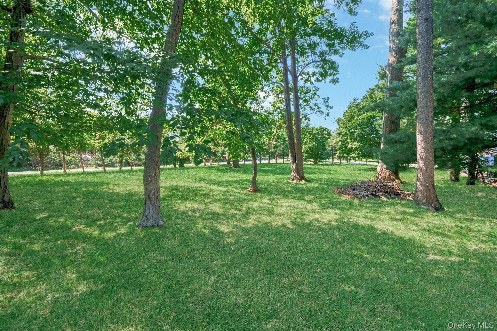 Orchard  off Manhattan Manhattan – For Sale photo 5