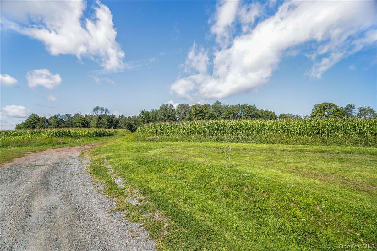 21 Hans Fischer Road – For Sale photo 35