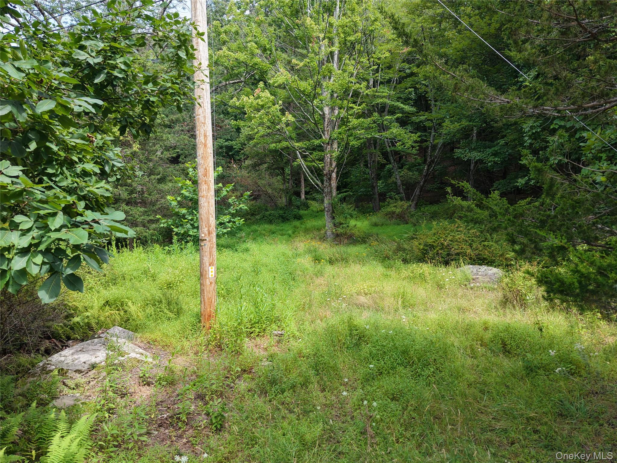 Twinshaven Road – For Sale photo 11