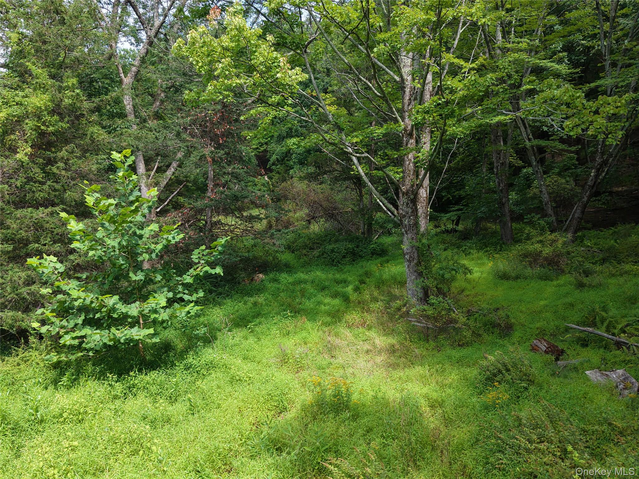 Twinshaven Road – For Sale photo 12