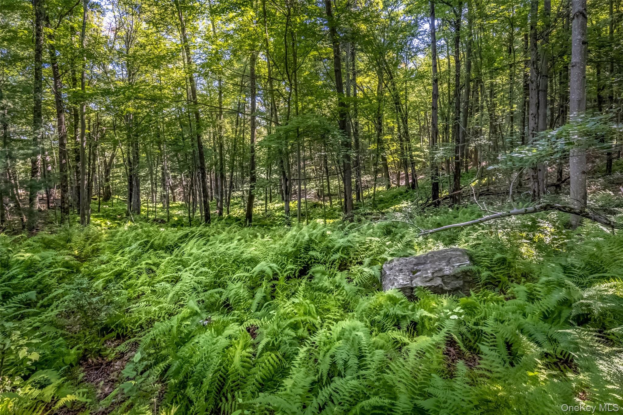 Old Plank Road – For Sale photo 18