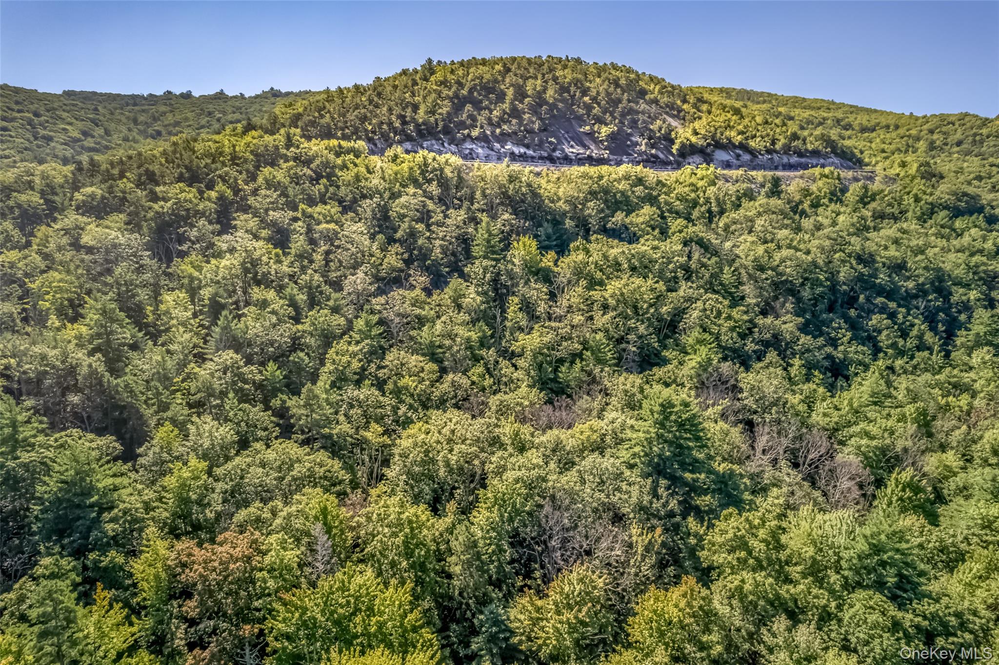 Old Plank Road – For Sale photo 27