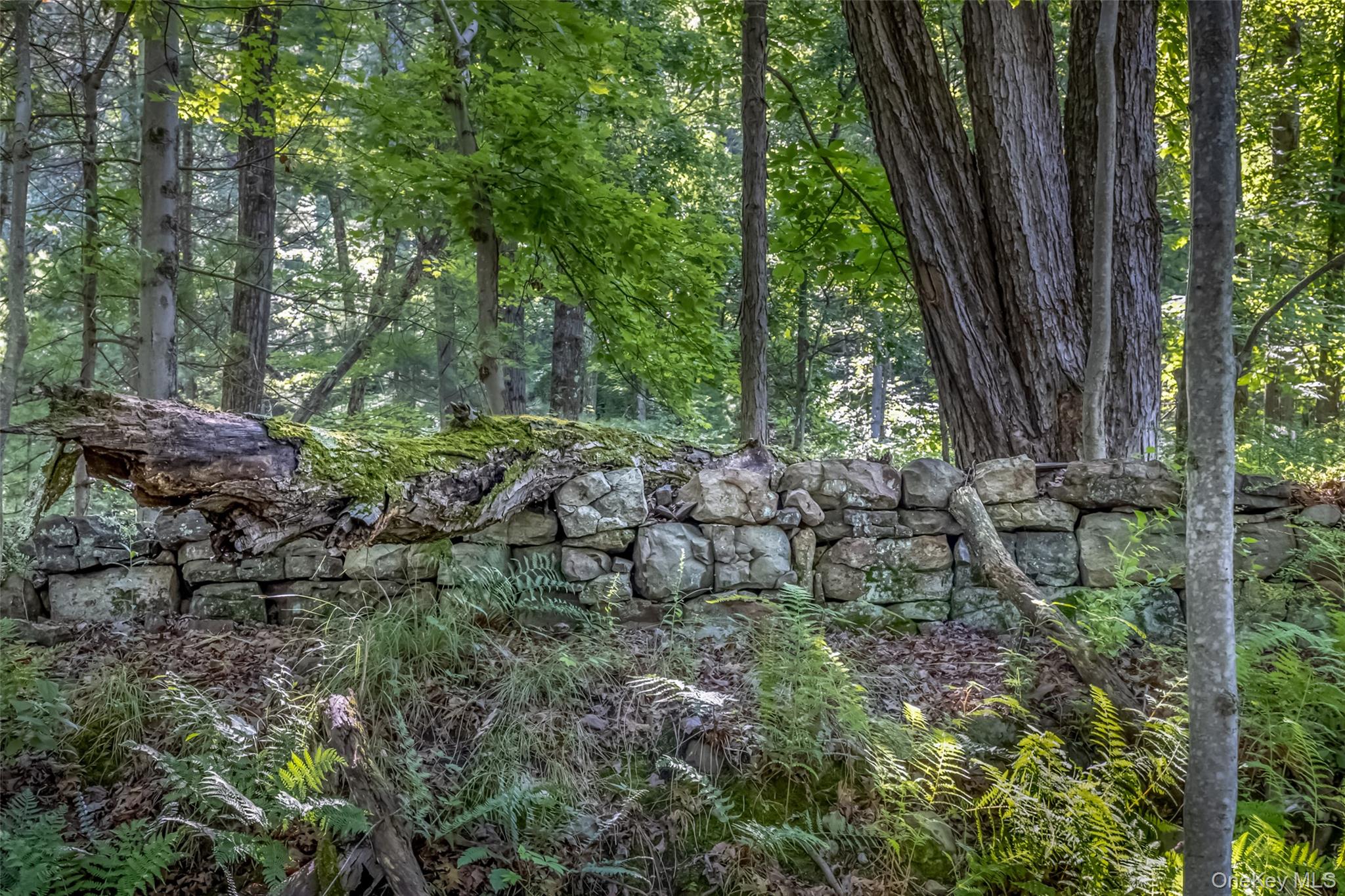 Old Plank Road – For Sale photo 13