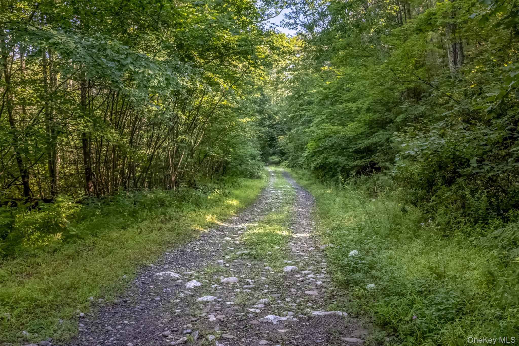 Old Plank Road – For Sale photo 7
