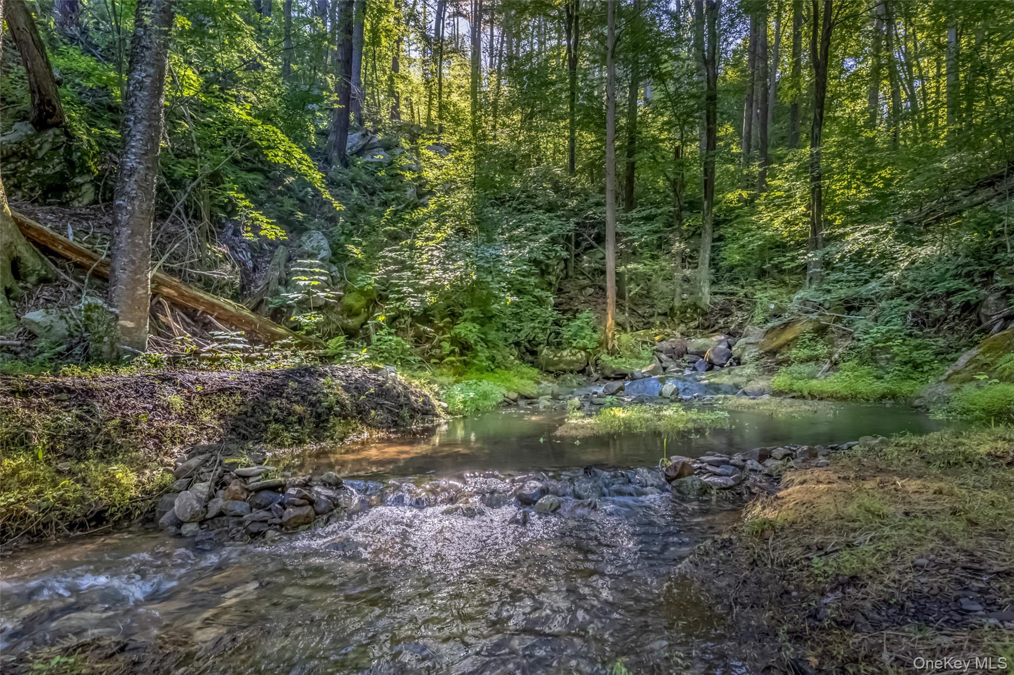 Old Plank Road – For Sale photo 2