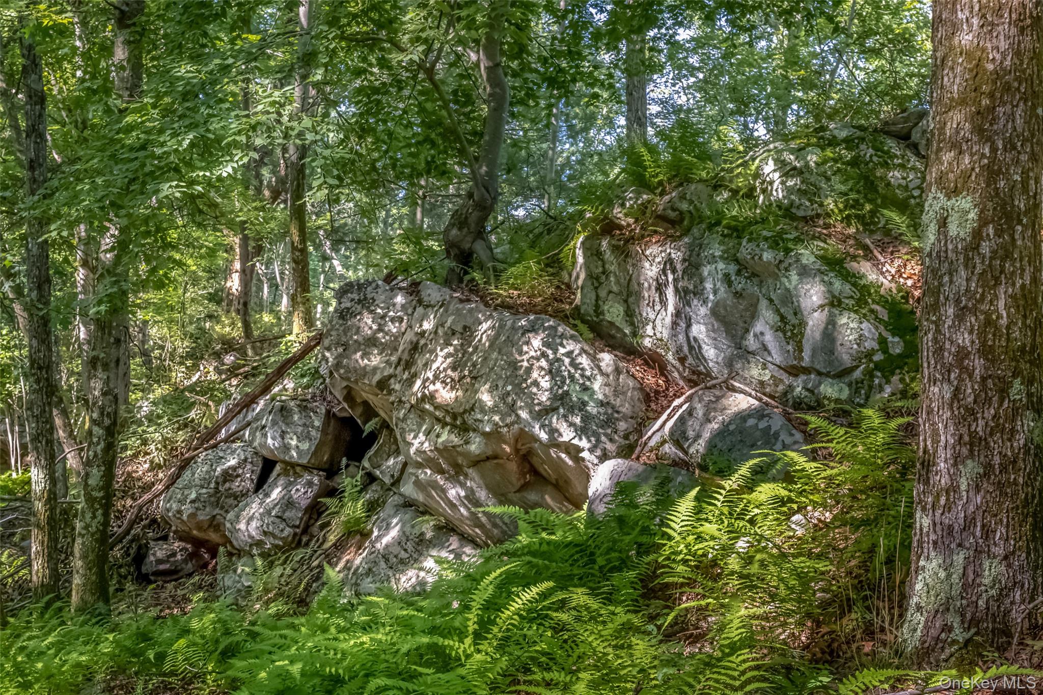 Old Plank Road – For Sale photo 10