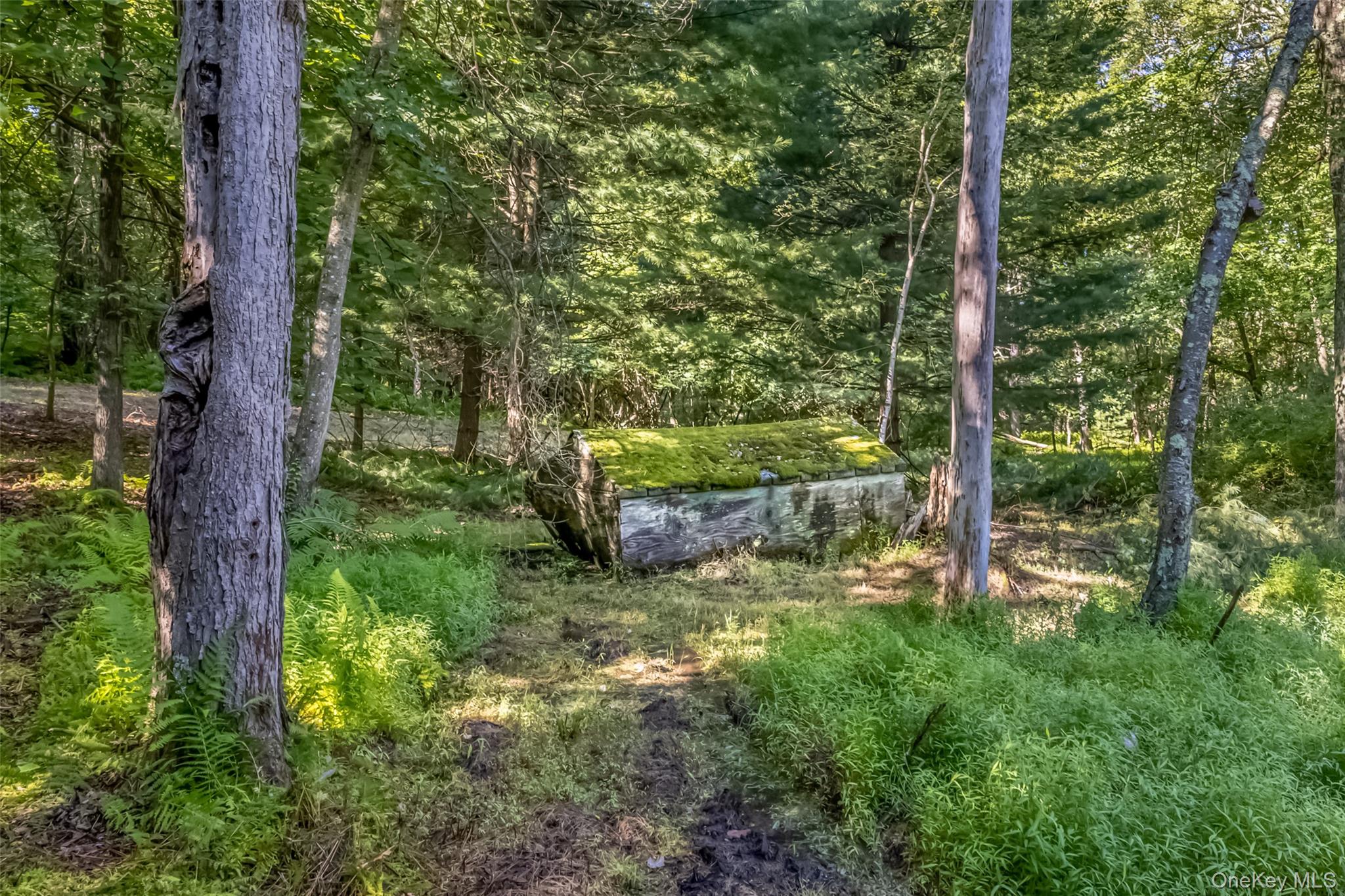 Old Plank Road – For Sale photo 14