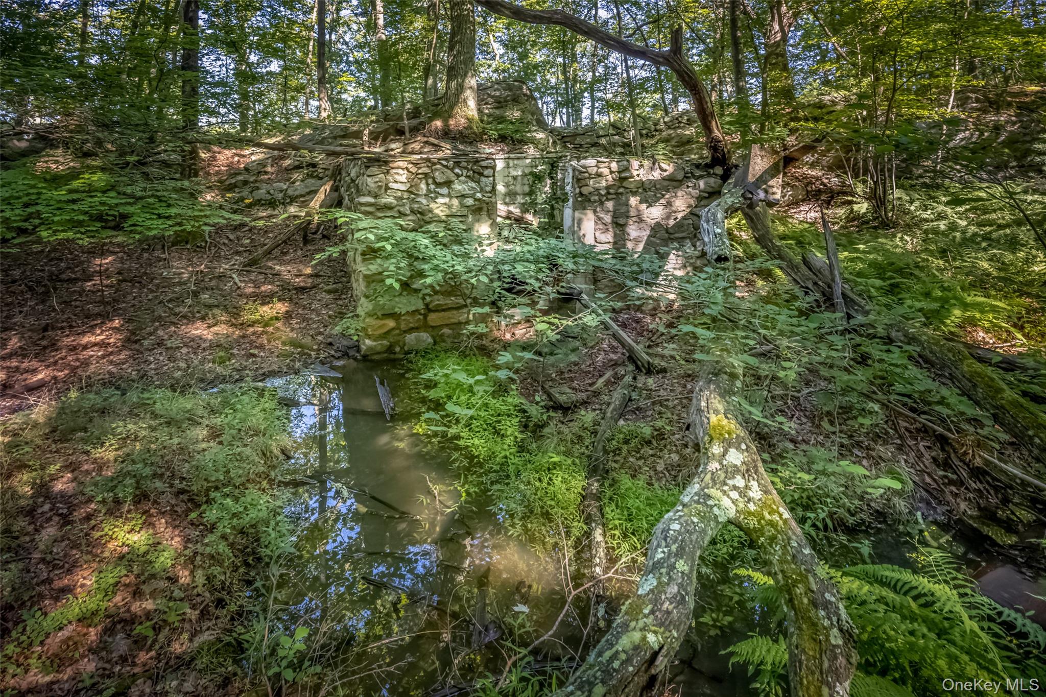 Old Plank Road – For Sale photo 12