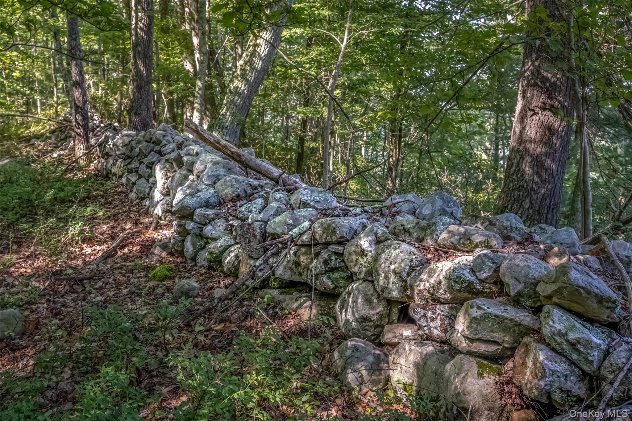 Old Plank Road – For Sale photo 16