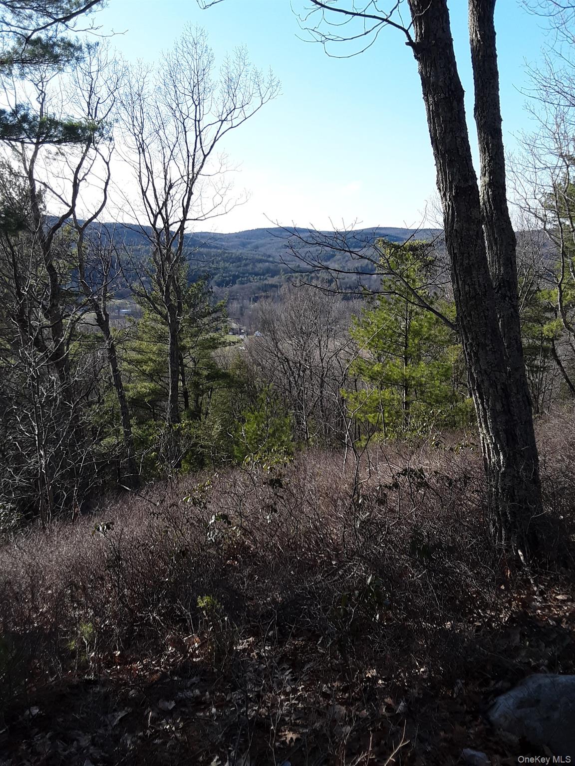 Old Plank Road – For Sale photo 17