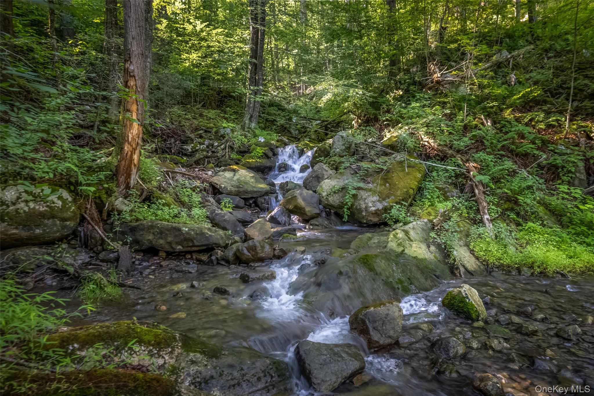 Old Plank Road – For Sale