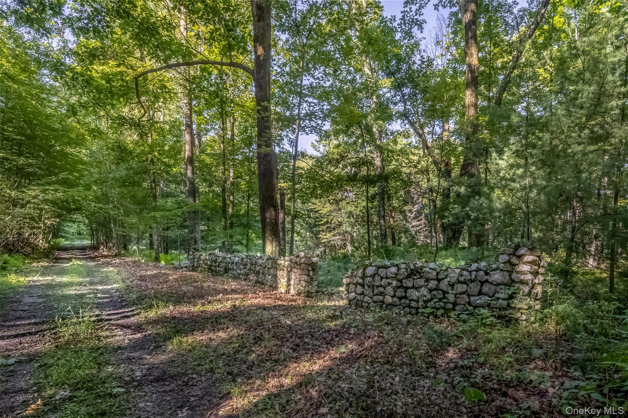 Old Plank Road – For Sale photo 8