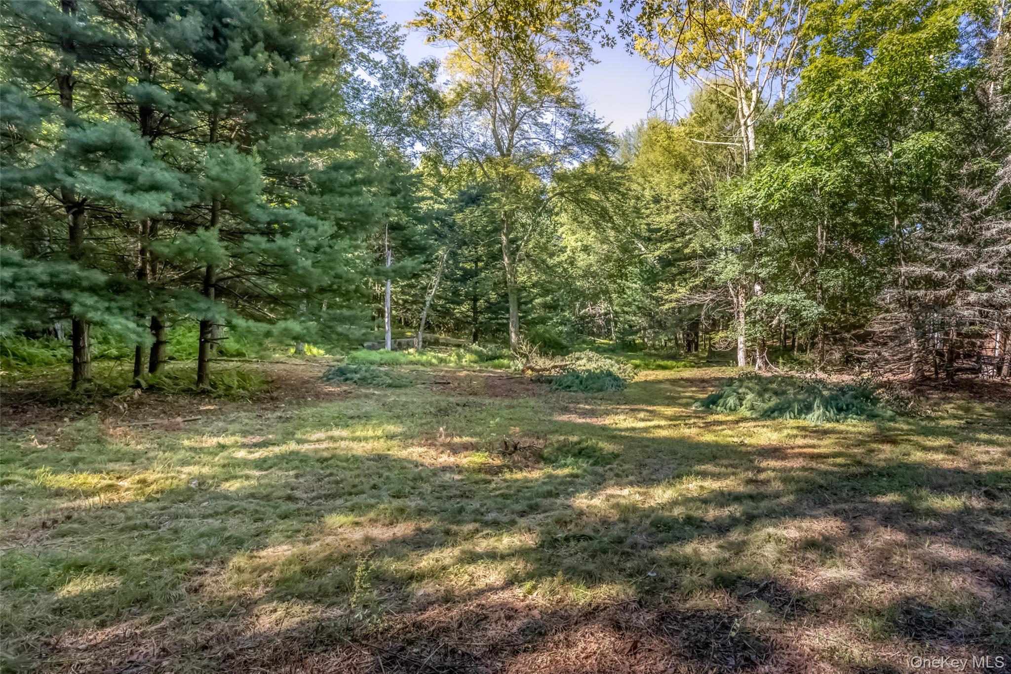 Old Plank Road – For Sale photo 9