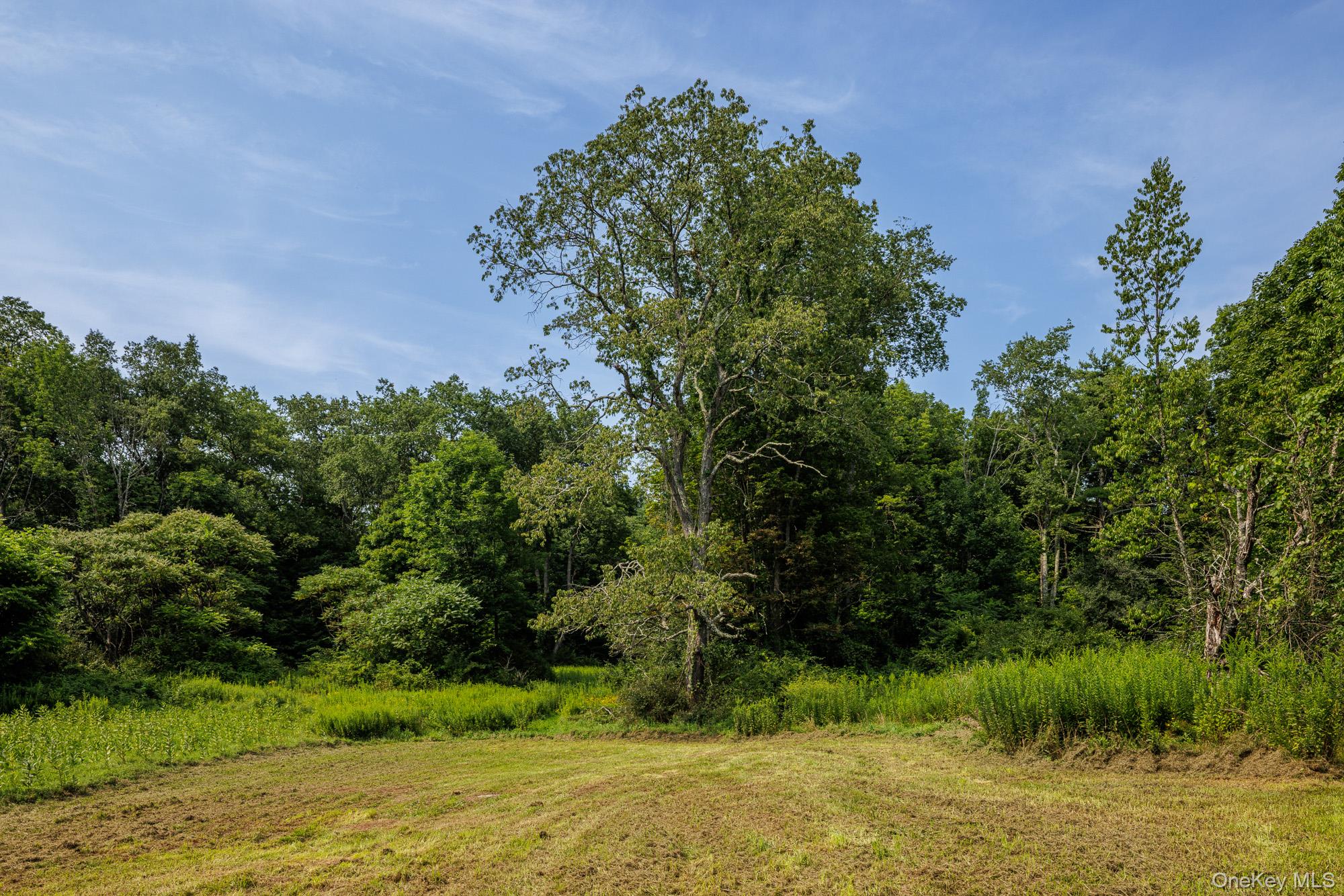 11 Cemetery Road – For Sale photo 27