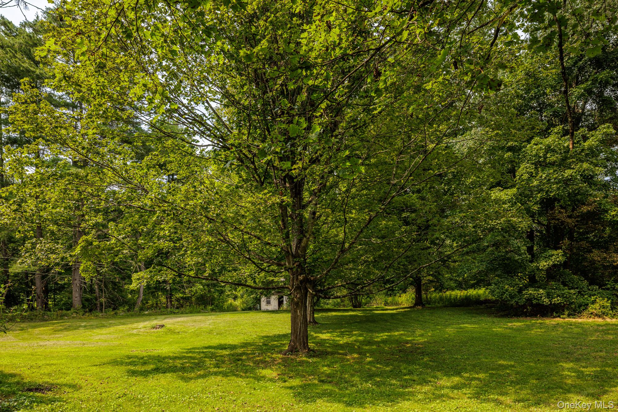 11 Cemetery Road – For Sale photo 25