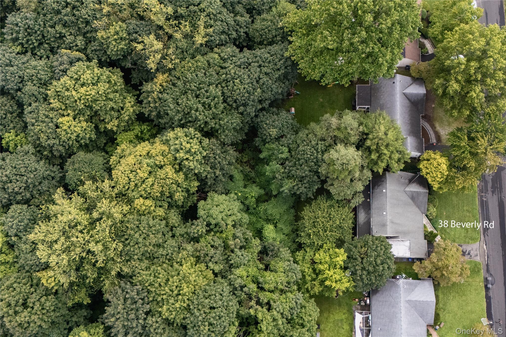 38 Beverly Road – For Sale photo 50
