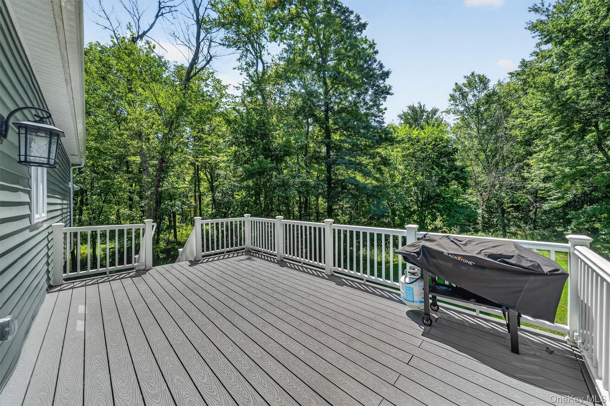 15 Alpine Lane – For Sale photo 41