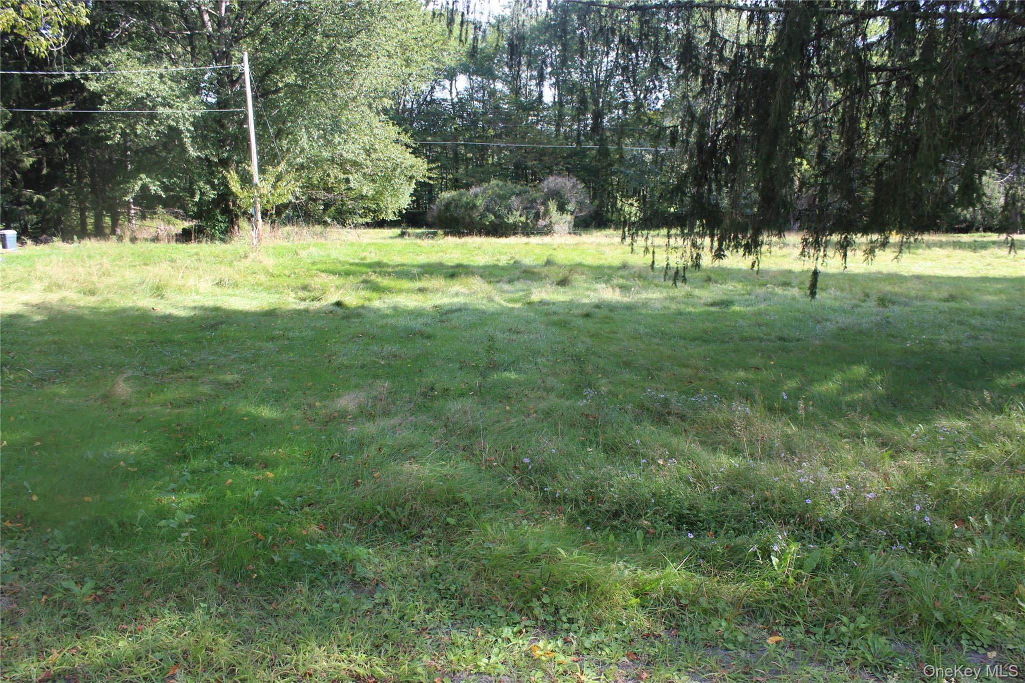 51 Wegman Road – For Sale