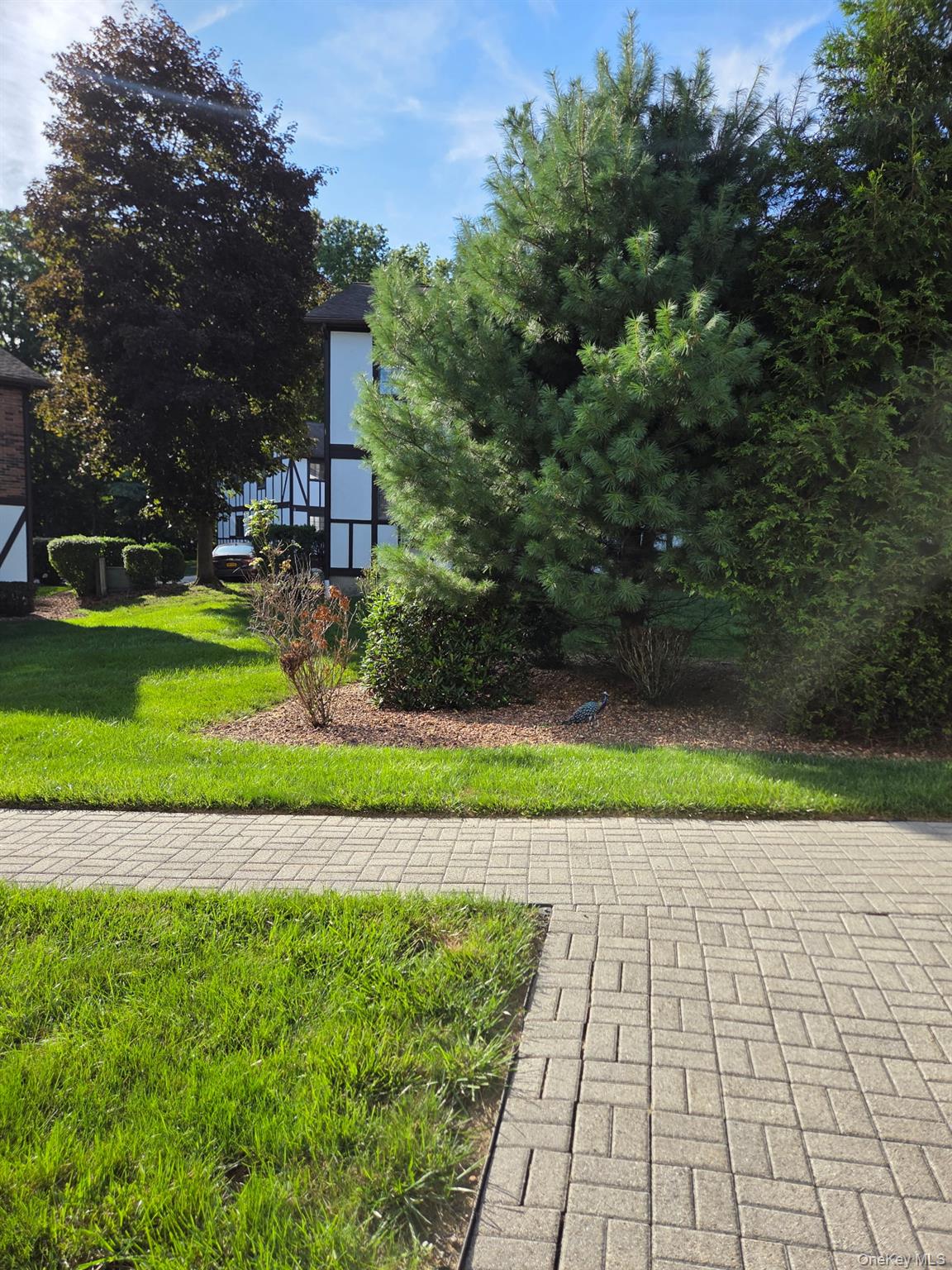 11 Brittany Drive – For Sale photo 5