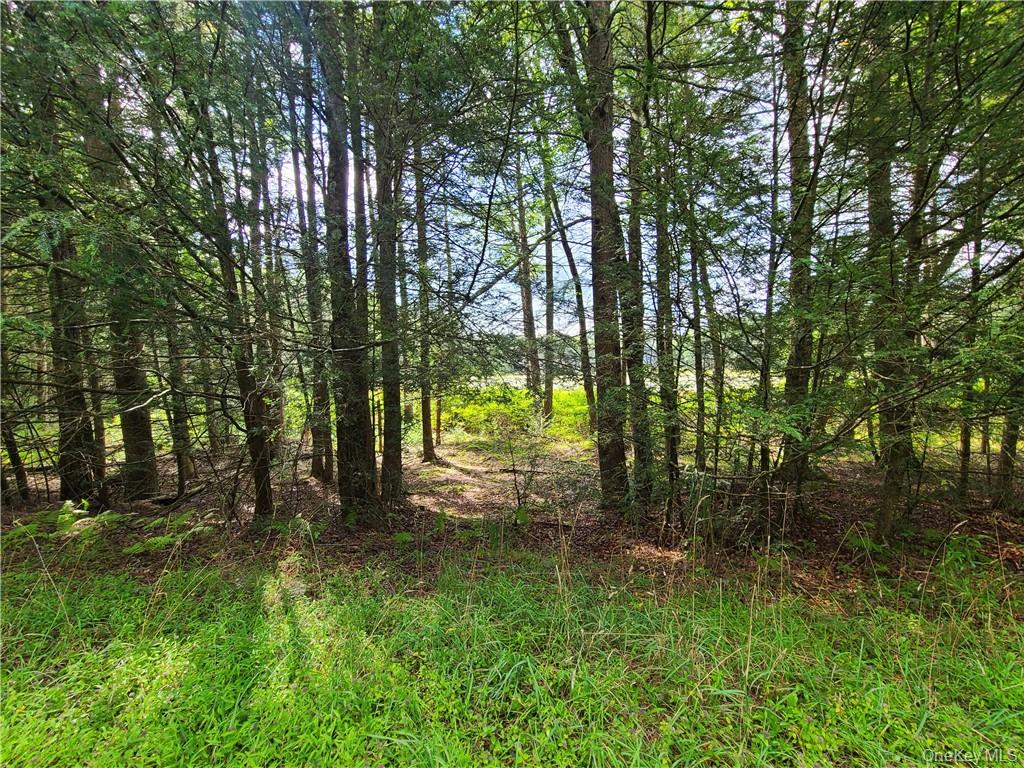 Lot 23 Deer Meadow Road – For Sale photo 29
