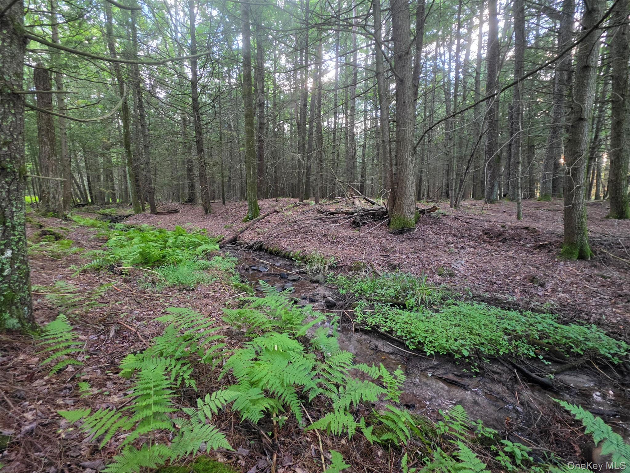 Lot 23 Deer Meadow Road – For Sale photo 41