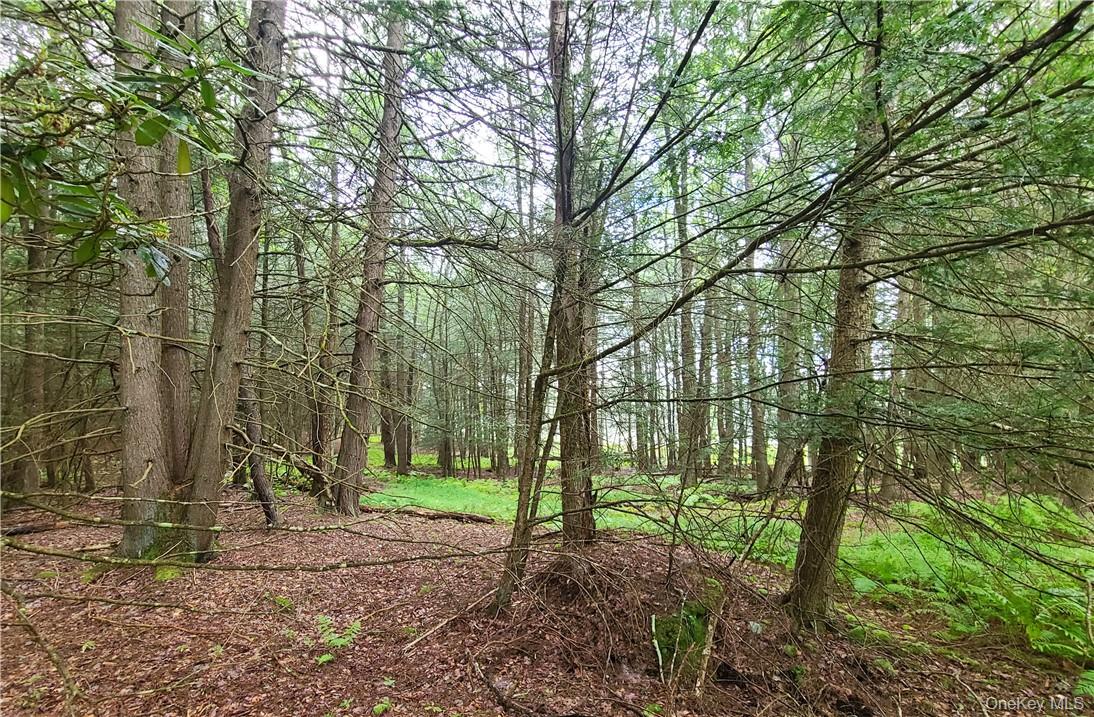 Lot 23 Deer Meadow Road – For Sale photo 10