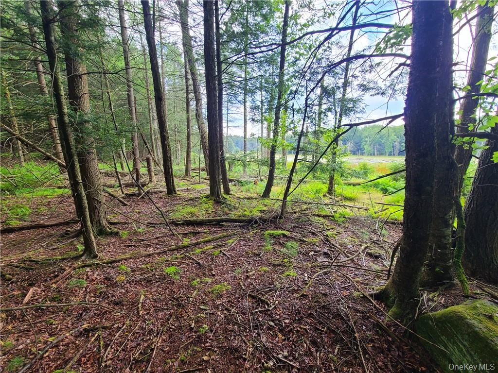 Lot 23 Deer Meadow Road – For Sale photo 16