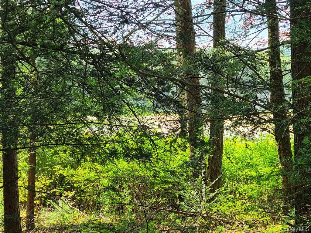 Lot 23 Deer Meadow Road – For Sale photo 8
