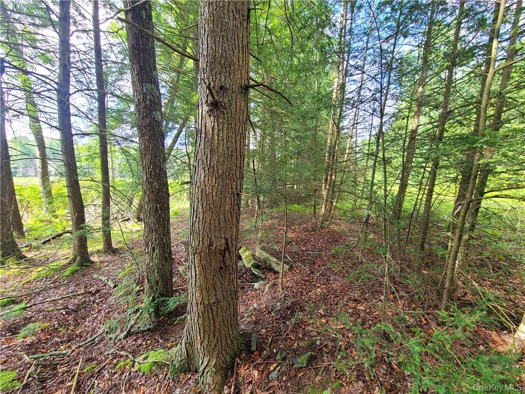 Lot 23 Deer Meadow Road – For Sale photo 27